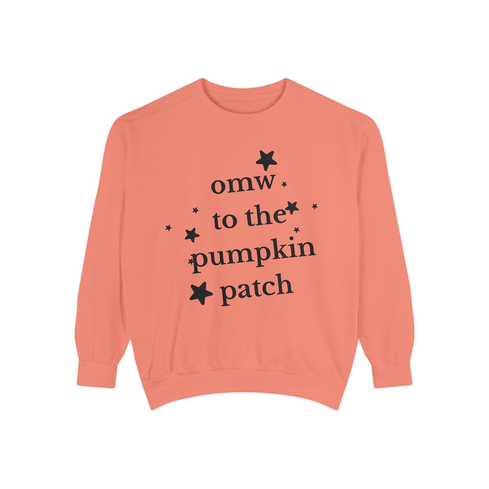 Cozy Pumpkin Patch Sweatshirt - Perfect for Fall