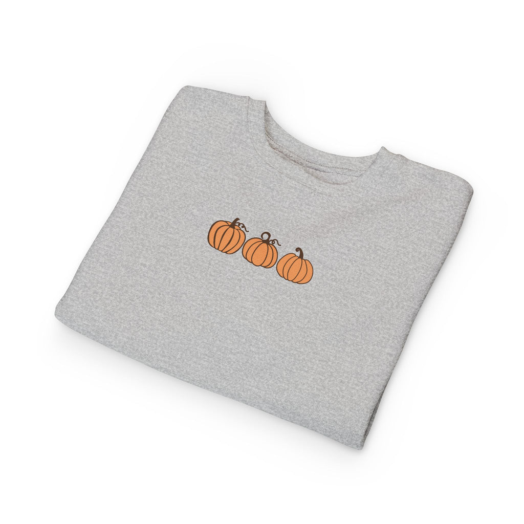 Cute Pumpkin Toddler Sweatshirt
