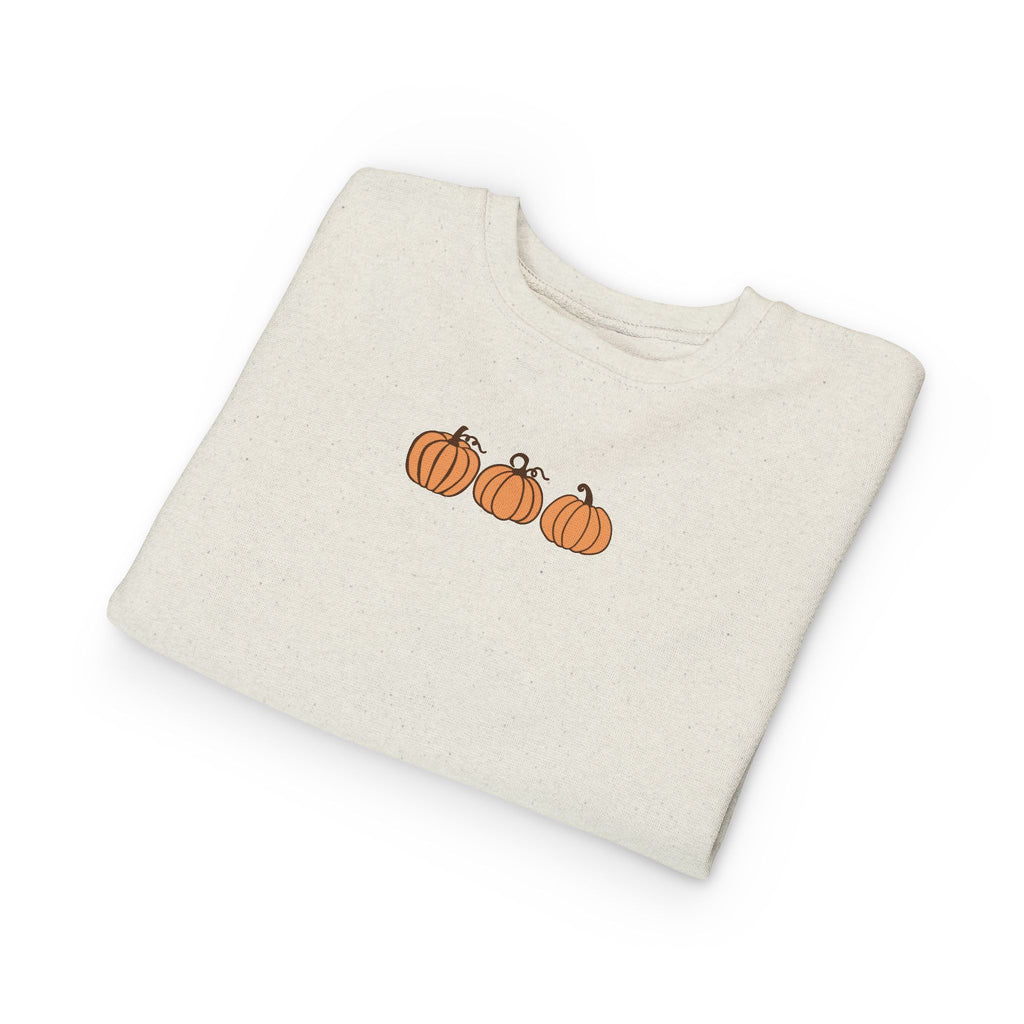 Cute Pumpkin Toddler Sweatshirt