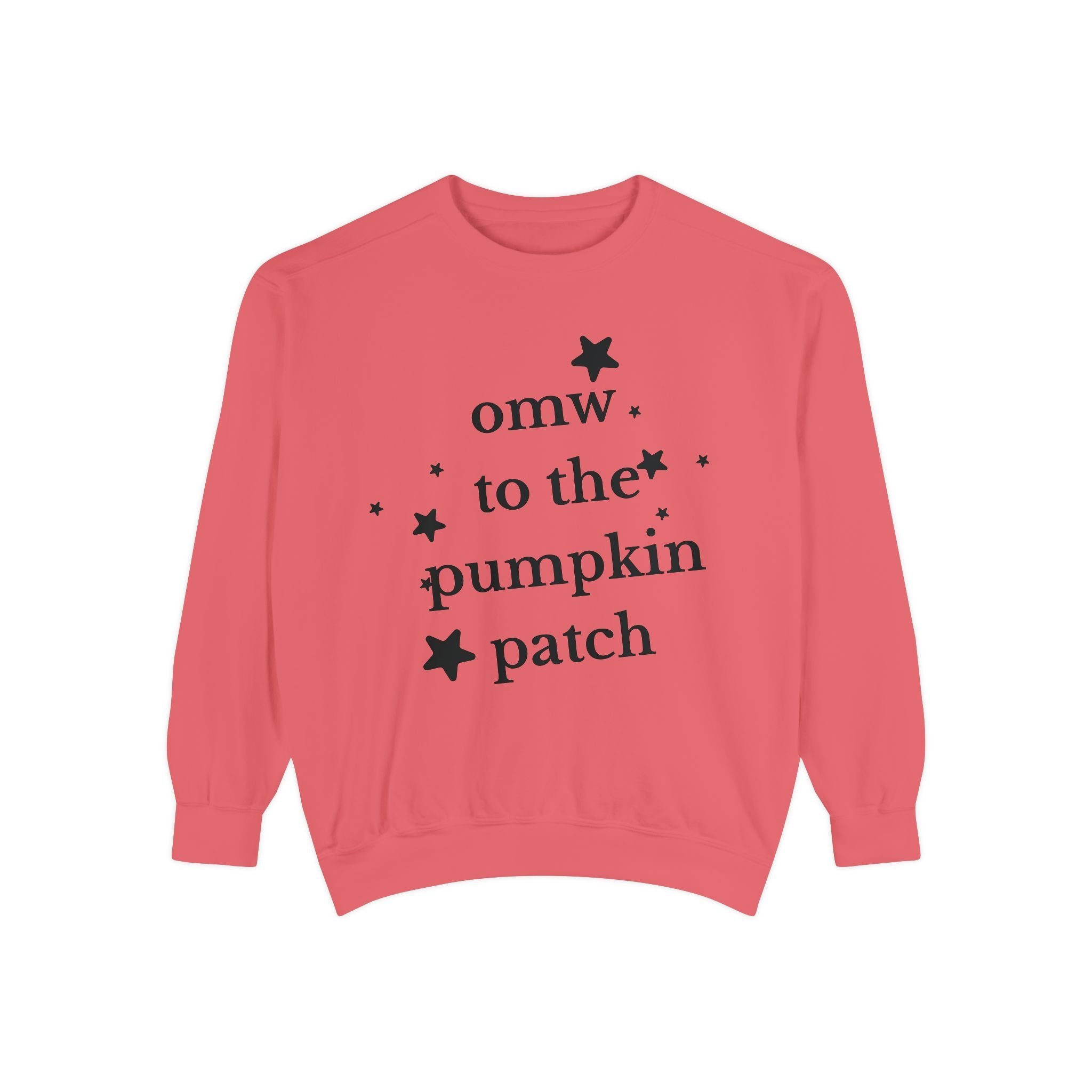 Cozy Pumpkin Patch Sweatshirt - Perfect for Fall